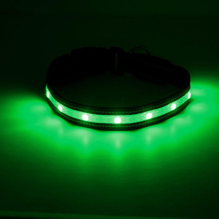 LED-halsband t/hund 45-47 cm Petzone